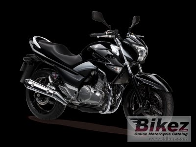 2013 Suzuki GW250 photo